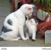 ヒメ日記 2025/04/29 23:00 投稿 ちょこ 川崎ソープ　クリスタル京都南町