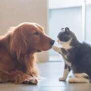 ヒメ日記 2025/05/13 18:46 投稿 ちょこ 川崎ソープ　クリスタル京都南町