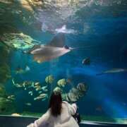 ヒメ日記 2025/05/20 23:19 投稿 ちょこ 川崎ソープ　クリスタル京都南町