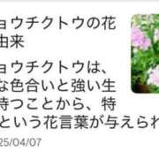 ヒメ日記 2025/06/03 22:36 投稿 ちょこ 川崎ソープ　クリスタル京都南町