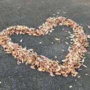 ヒメ日記 2025/12/01 16:47 投稿 ちょこ 川崎ソープ　クリスタル京都南町