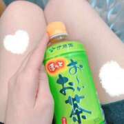 ヒメ日記 2024/12/12 13:48 投稿 椿らら 乳ビーナス(New Venus)