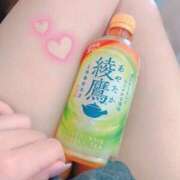 ヒメ日記 2025/02/19 14:49 投稿 椿らら 乳ビーナス(New Venus)