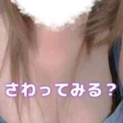 ヒメ日記 2025/06/12 08:28 投稿 イワガキ　岩牡蠣 女の子市場