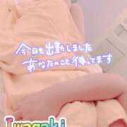 ヒメ日記 2026/02/12 12:58 投稿 イワガキ　岩牡蠣 女の子市場