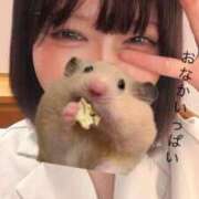 ヒメ日記 2025/10/08 17:50 投稿 りんご 奥様特急新潟店