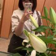 ヒメ日記 2025/10/25 10:23 投稿 りんご 奥様特急新潟店