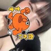 りんご おはようございます🍎 奥様特急新潟店