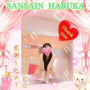 ヒメ日記 2024/12/17 20:25 投稿 はるか 宮崎SANSAIN