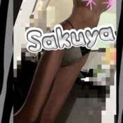 ヒメ日記 2025/02/07 18:42 投稿 さくや 奥様プリモ