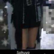 ヒメ日記 2025/02/15 11:42 投稿 さくや 奥様プリモ