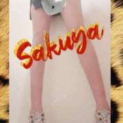 ヒメ日記 2025/02/17 13:22 投稿 さくや 奥様プリモ