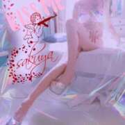 ヒメ日記 2025/03/20 12:49 投稿 さくや 奥様プリモ