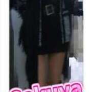 ヒメ日記 2025/03/20 16:39 投稿 さくや 奥様プリモ