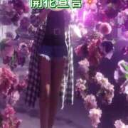 ヒメ日記 2025/03/25 08:12 投稿 さくや 奥様プリモ