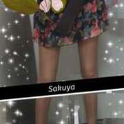 ヒメ日記 2025/03/27 14:29 投稿 さくや 奥様プリモ