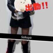 ヒメ日記 2025/03/28 15:19 投稿 さくや 奥様プリモ