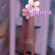 ヒメ日記 2025/04/04 12:39 投稿 さくや 奥様プリモ