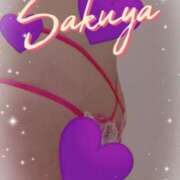 さくや 今日の気分は♡ 奥様プリモ