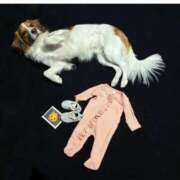 ヒメ日記 2024/12/29 16:30 投稿 ひなこ 奥鉄オクテツ東京店（デリヘル市場）