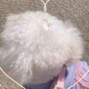 ヒメ日記 2025/04/13 01:33 投稿 ひなこ 奥鉄オクテツ東京店（デリヘル市場）