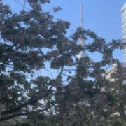 ヒメ日記 2025/04/16 03:15 投稿 ひなこ 奥鉄オクテツ東京店（デリヘル市場）