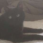 ヒメ日記 2025/06/23 02:31 投稿 ひなこ 奥鉄オクテツ東京店（デリヘル市場）