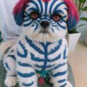 ヒメ日記 2025/07/30 01:49 投稿 ひなこ 奥鉄オクテツ東京店（デリヘル市場）