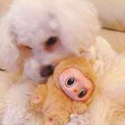 ヒメ日記 2025/12/27 02:10 投稿 ひなこ 奥鉄オクテツ東京店（デリヘル市場）