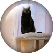 ヒメ日記 2026/01/07 02:37 投稿 ひなこ 奥鉄オクテツ東京店（デリヘル市場）