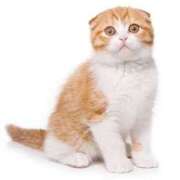 ヒメ日記 2025/05/01 21:11 投稿 りこ 神戸・明石素人宅急便