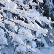 りこ こんばんは 神戸・明石素人宅急便