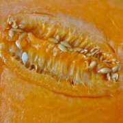 ヒメ日記 2025/08/13 15:03 投稿 さあや ラズベリードール