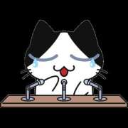 ヒメ日記 2025/11/16 10:49 投稿 RISAKO Big Tits(ビッグティッツ)