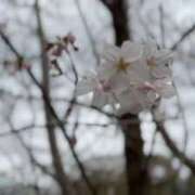 ヒメ日記 2025/04/27 09:00 投稿 めい My Essentials