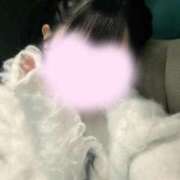 ヒメ日記 2025/06/02 03:20 投稿 めい My Essentials