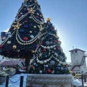 ヒメ日記 2025/12/17 21:00 投稿 めい My Essentials