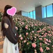 ヒメ日記 2026/03/20 00:23 投稿 はな プールサイド