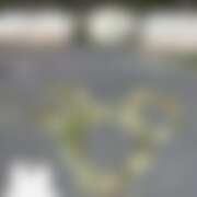 ヒメ日記 2026/03/31 18:53 投稿 はな プールサイド