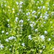 ヒメ日記 2025/05/29 13:23 投稿 さよ☆感度抜群！ご奉仕好き！ 大崎・古川 デリヘル 激安王