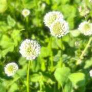 ヒメ日記 2025/06/02 12:23 投稿 さよ☆感度抜群！ご奉仕好き！ 大崎・古川 デリヘル 激安王