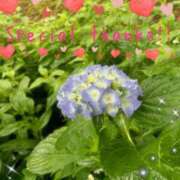 ヒメ日記 2025/06/09 05:23 投稿 さよ☆感度抜群！ご奉仕好き！ 大崎・古川 デリヘル 激安王