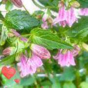 ヒメ日記 2025/06/15 19:23 投稿 さよ☆感度抜群！ご奉仕好き！ 大崎・古川 デリヘル 激安王