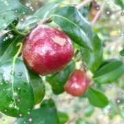 ヒメ日記 2025/09/12 18:53 投稿 さよ☆感度抜群！ご奉仕好き！ 大崎・古川 デリヘル 激安王