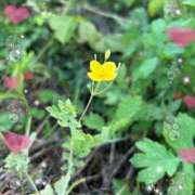 ヒメ日記 2025/09/15 04:43 投稿 さよ☆感度抜群！ご奉仕好き！ 大崎・古川 デリヘル 激安王