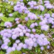 ヒメ日記 2025/10/23 11:56 投稿 さよ☆感度抜群！ご奉仕好き！ 大崎・古川 デリヘル 激安王