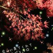 ヒメ日記 2025/11/03 20:43 投稿 さよ☆感度抜群！ご奉仕好き！ 大崎・古川 デリヘル 激安王