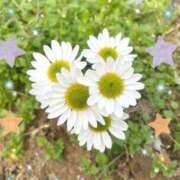 ヒメ日記 2025/12/05 09:23 投稿 さよ☆感度抜群！ご奉仕好き！ 大崎・古川 デリヘル 激安王