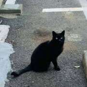 ヒメ日記 2025/04/17 15:55 投稿 ゆりあ ファッションヘルス カリスマ