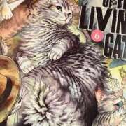 ヒメ日記 2025/04/21 16:55 投稿 ゆりあ ファッションヘルス カリスマ